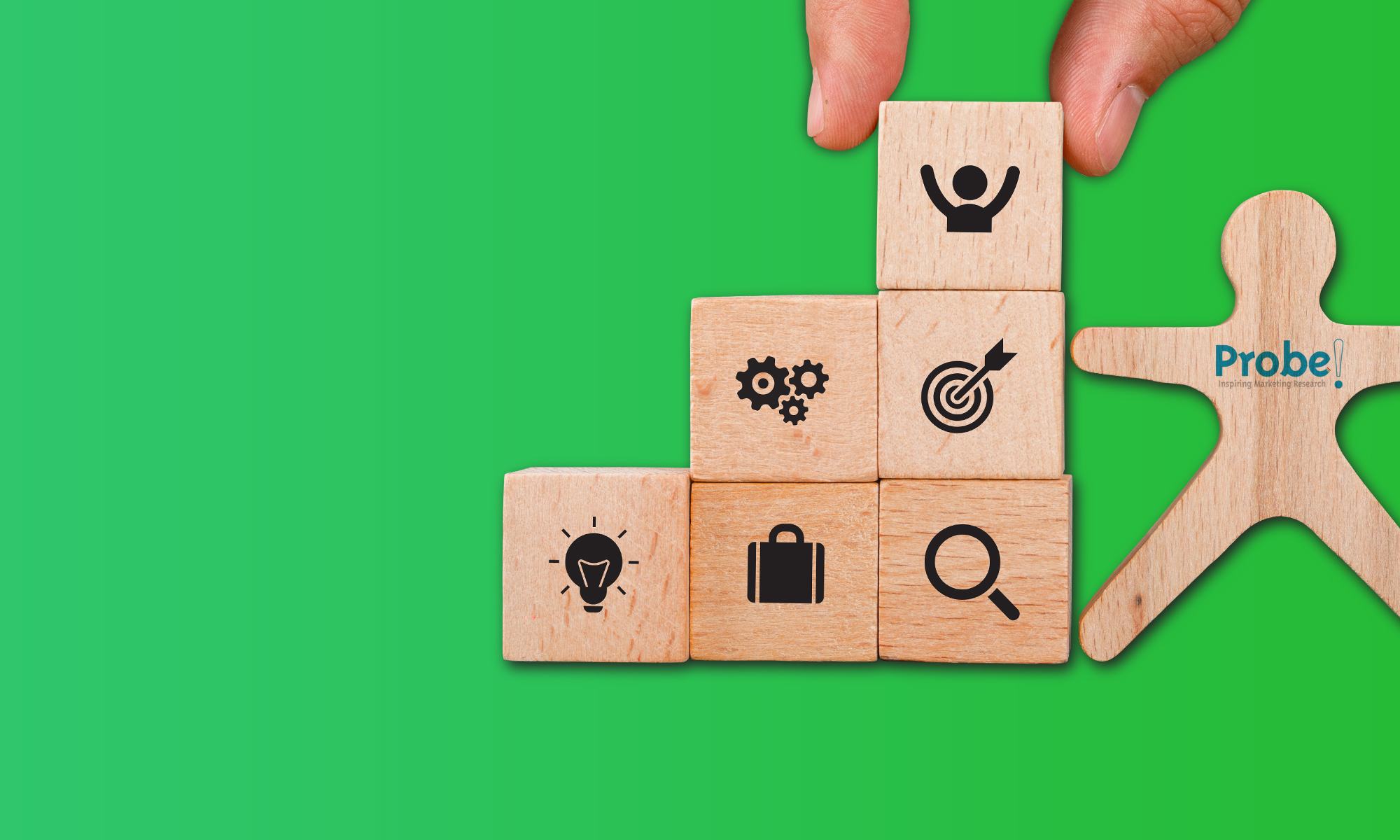 Fieldwork<br>& Logistica